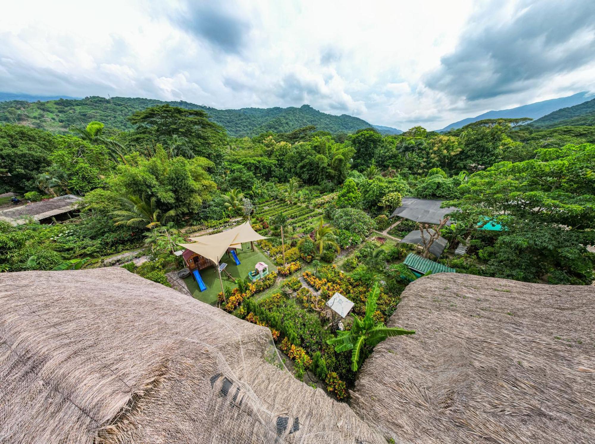Portales Del Tayrona Garden Hotel Calabazo  Zewnętrze zdjęcie